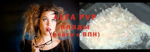 ПСИЛОЦИБИНОВЫЕ ГРИБЫ Краснослободск