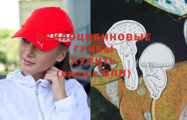 ПСИЛОЦИБИНОВЫЕ ГРИБЫ Краснослободск