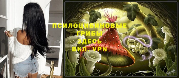 ПСИЛОЦИБИНОВЫЕ ГРИБЫ Краснослободск