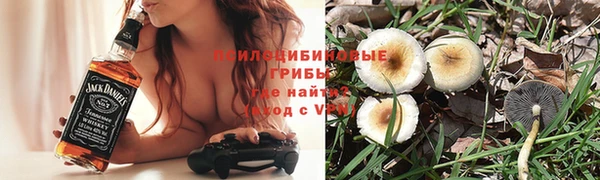 ПСИЛОЦИБИНОВЫЕ ГРИБЫ Краснослободск