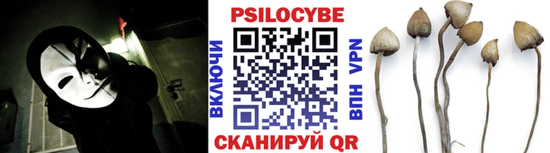 Псилоцибиновые грибы GOLDEN TEACHER  Купить  Кувандык 